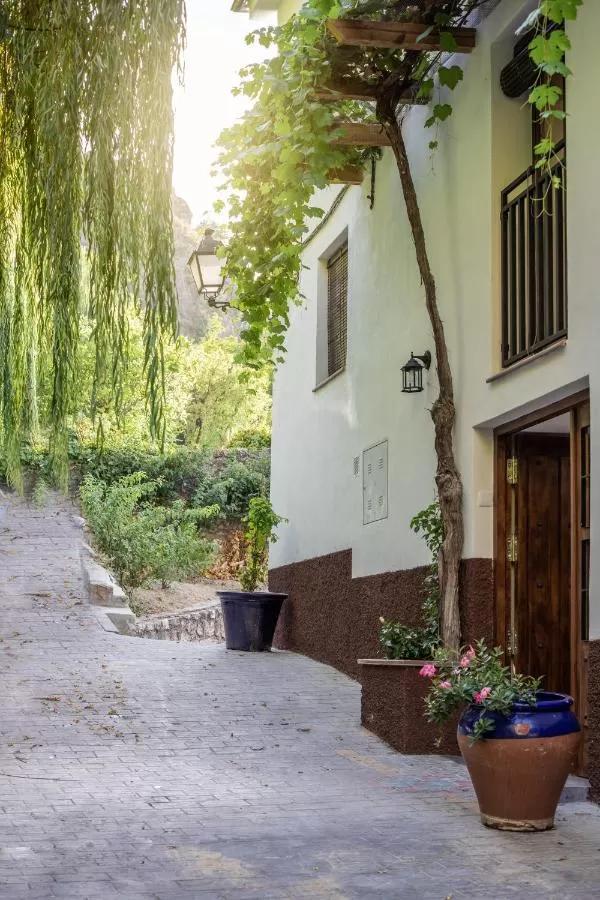 Гостевой дом Casa Paseo Del Sauce Казорла Экстерьер фото